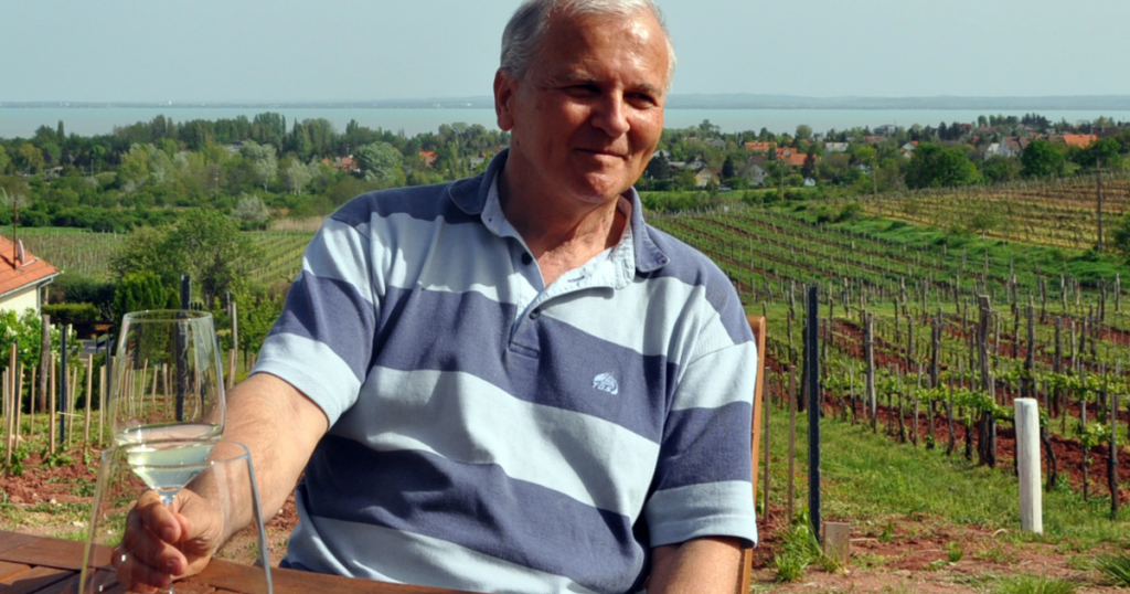 jasdi-istvan-csopak-boraszat-borterasz-balatoni-dombok-ingatlan-befektetok-balatontravel