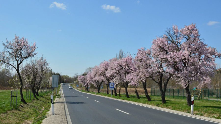 7,5 milliárdos útfejlesztés Veszprém megyében