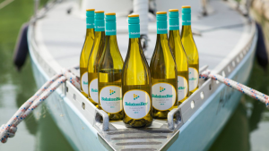 balatonbor-boraszat-vineyard-borbirtok-gasztronomia-balatontravel