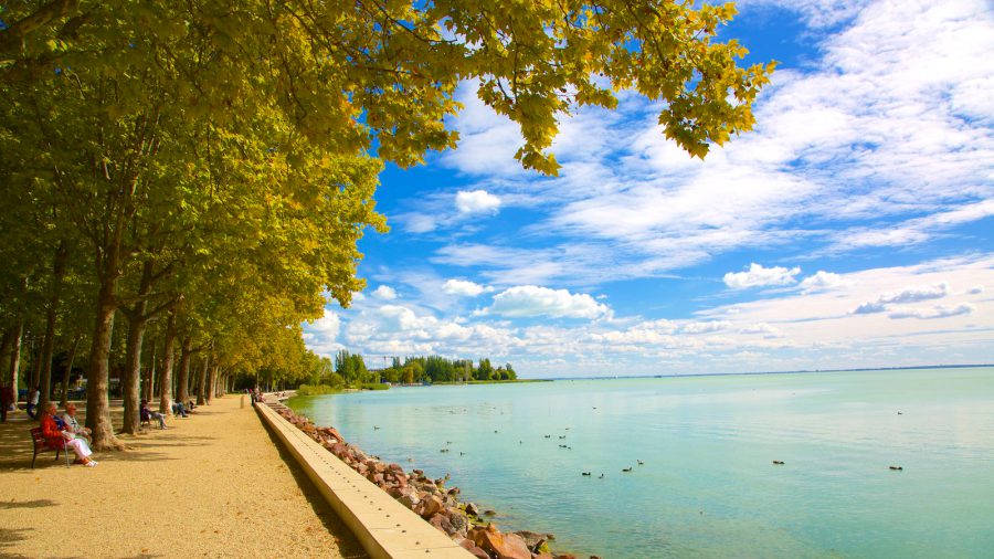 Magyar Mozgókép Fesztivál: nyári filmkavalkád a Balatonnál