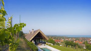 Nádfedeles ház villa Balaton nádtető
