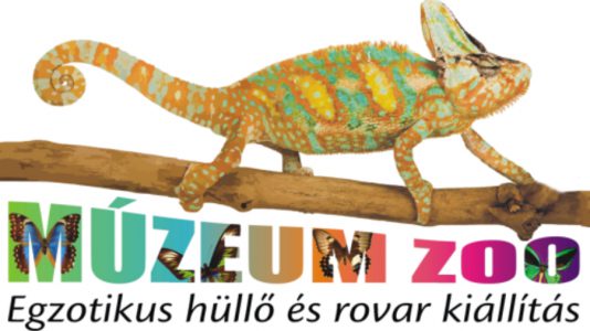 Múzeum Zoo lepke- és egzotikus hüllőkiállítás
