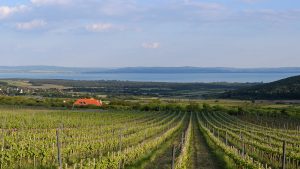 Balaton-Felvidek-Canter-Borhaz-Meszaros-Lorinc-Felcsut-66-Europai-Bordij-Vinalies-Paris-CsodalatosBalaton