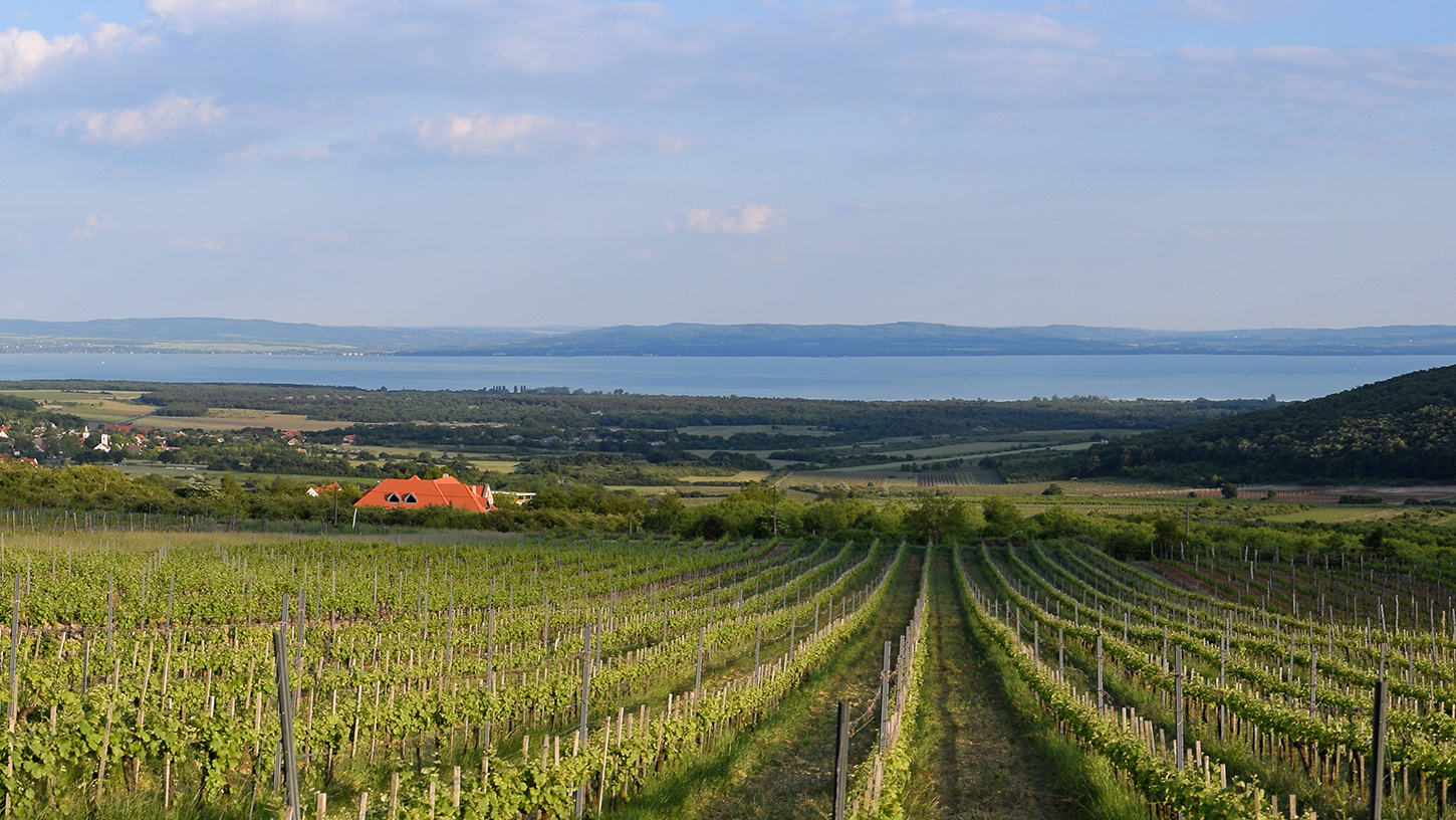 Balaton-Felvidek-Canter-Borhaz-Meszaros-Lorinc-Felcsut-66-Europai-Bordij-Vinalies-Paris-CsodalatosBalaton