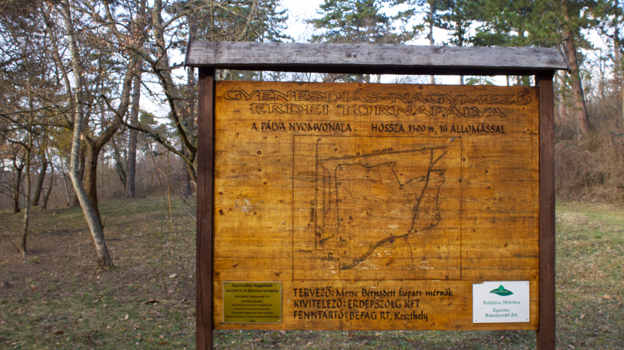 Erdei tornapálya Gyenesdiáson