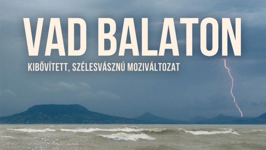 Április 19-től vetítik a mozik a Vad Balaton természetfilmet