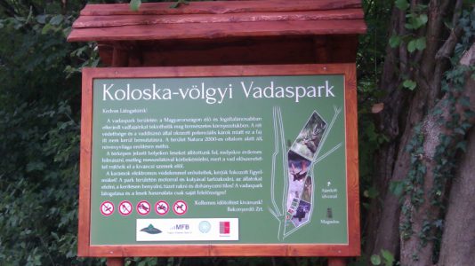 Vadaspark, Koloska-völgy