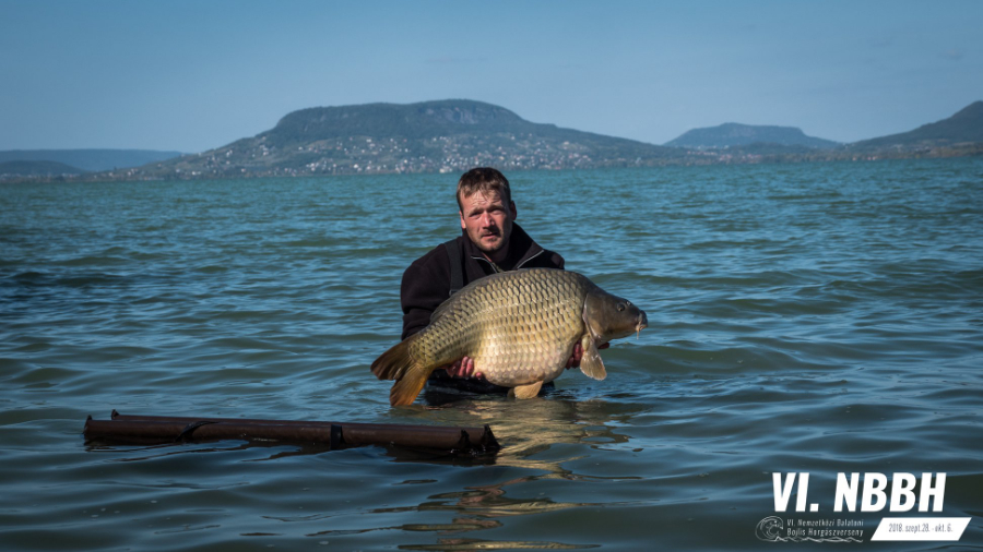 Húsz kiló feletti halakat is fogtak a Balatoni Bojlis Horgászversenyen