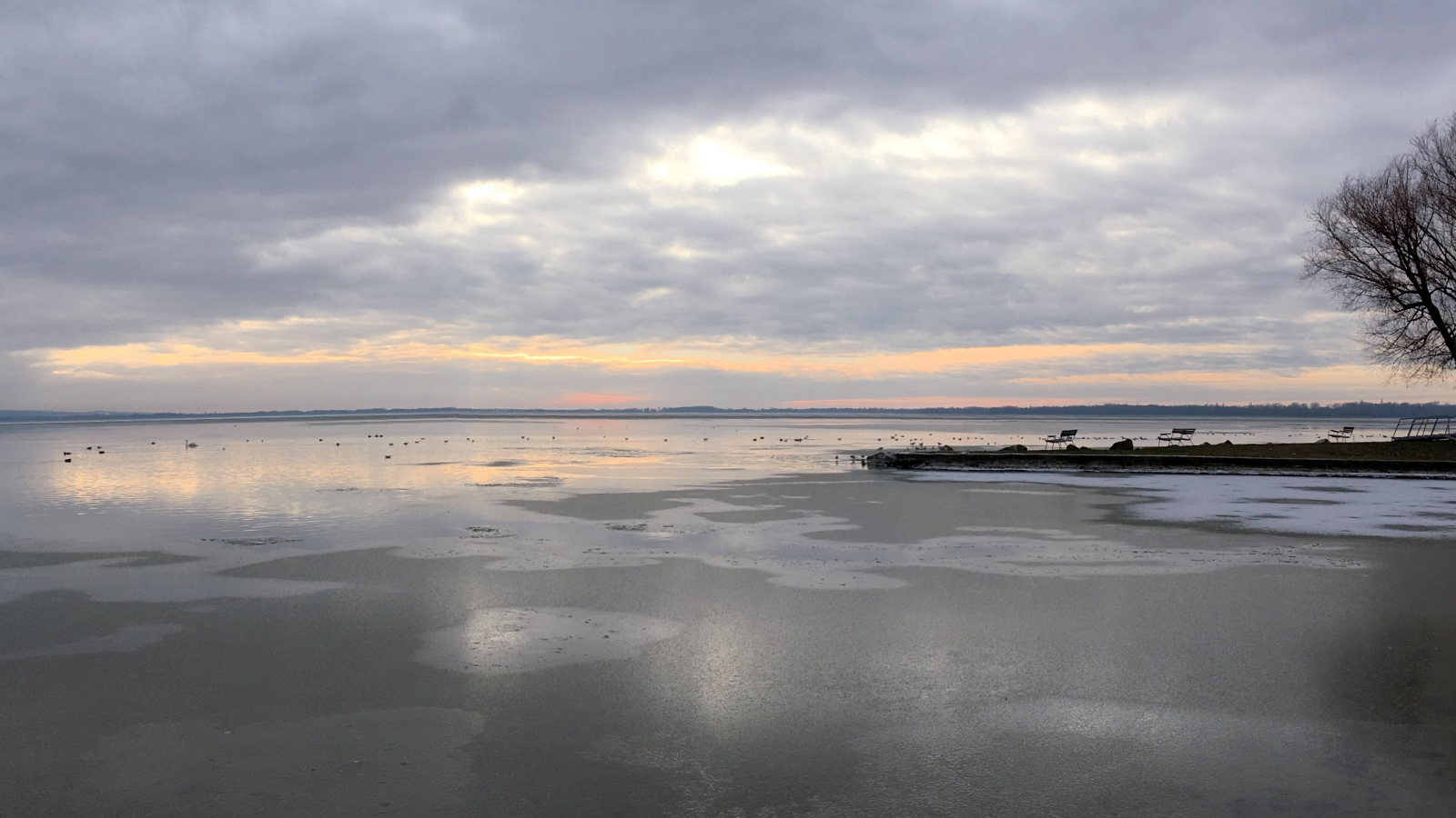 Fürdőzők a téli Balatonban Keszthelynél