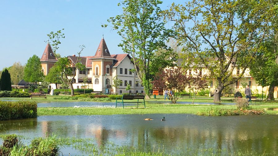 Keszthelynél kiöntött a Balaton, kacsák úszkálnak az elöntött szárazföldön