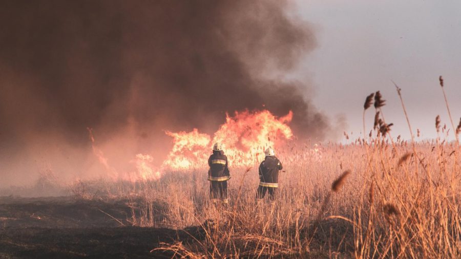 Megrázó fotók a tűzoltókról! 100 hektár nád égett le Fonyódon