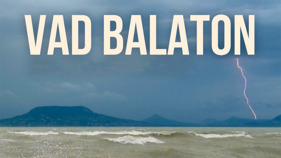 A Duna Televízión vetítik délután a Vad Balaton természetfilmet