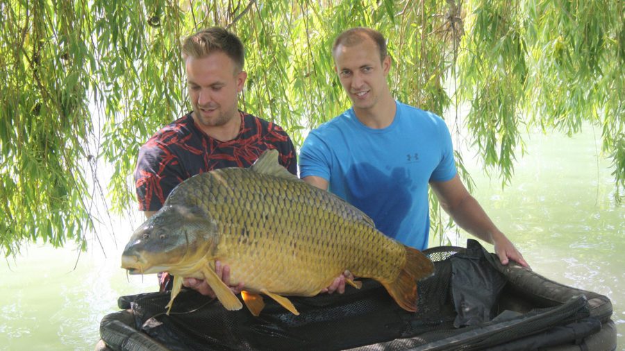 Több mint 30 kg-os rekordméretű pontyot fogtak a Balatonból