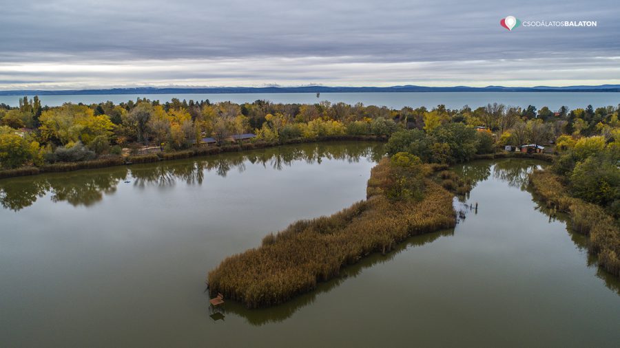 Szökevény bukkant fel a Balatonnál, de időben elfogták