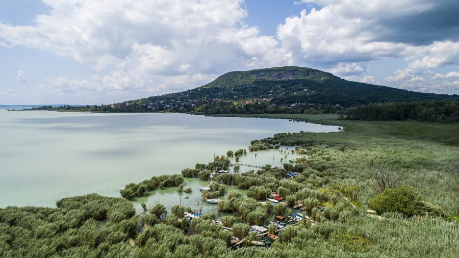 Ha nem lesz nád, végül Balaton sem lesz - megkétszereződött a kiirtott terület a tavon