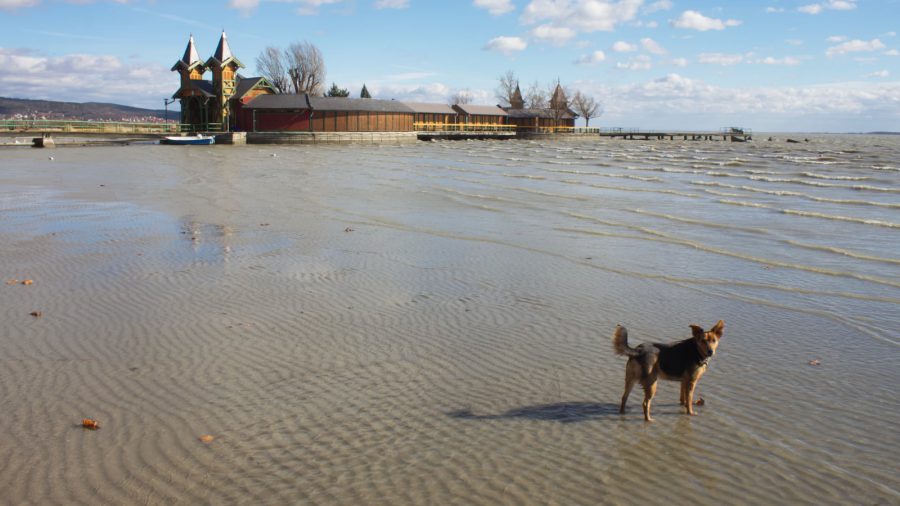 Eltűnt a Balaton Keszthelynél, 82 centiméterrel volt kisebb a víz mint Balatonfűzfőn
