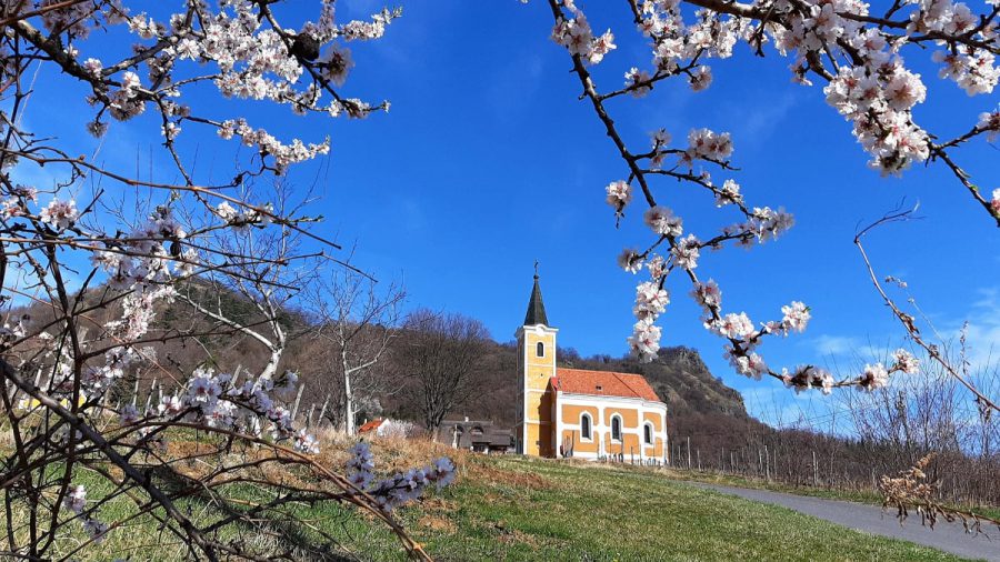 Ilyen a tavasz a Szent György-hegyen
