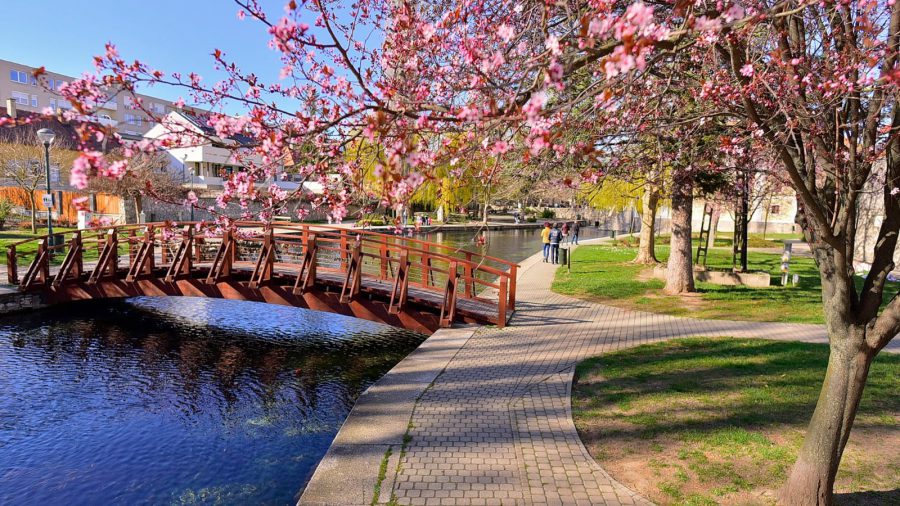 Tapolca, melyet egykor a Balaton hullámai nyaldostak