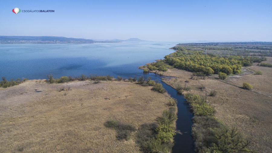 A Kis-Balaton 70 éve került be a természetvédelmi törzskönyvbe