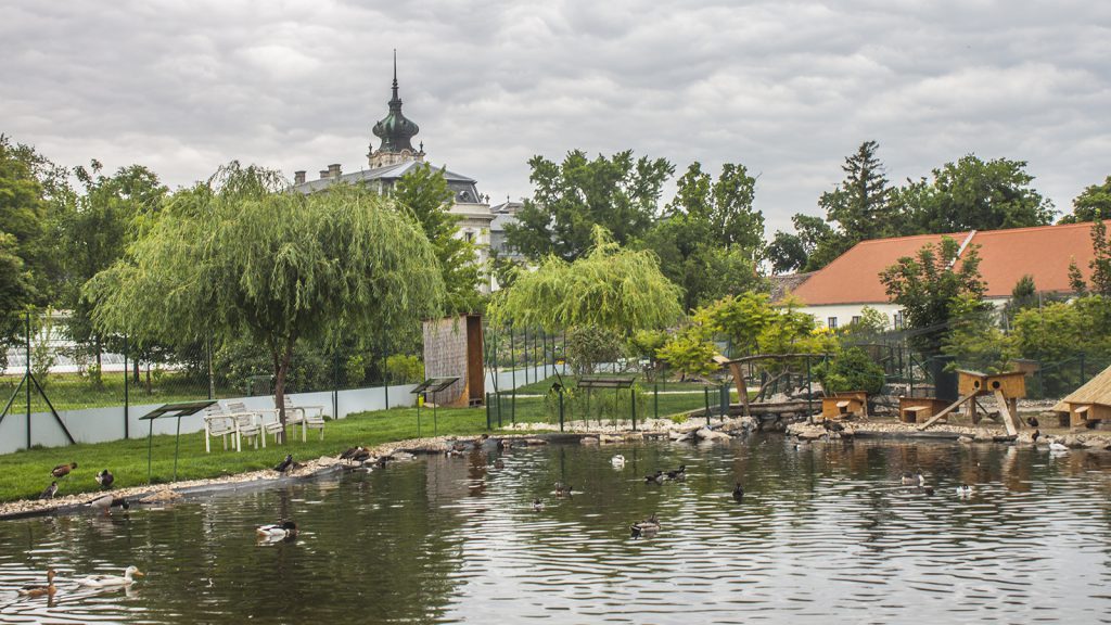 Madárinfluenza miatt el kellett pusztítani a Festetics-kastély Madárparkjának összes egyedét