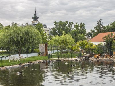 Madárinfluenza miatt el kellett pusztítani a Festetics-kastély Madárparkjának összes egyedét
