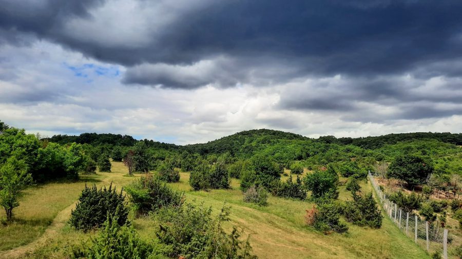 Megújul a balatonfüredi Koloska-völgy, lezárásokra is számíthatunk