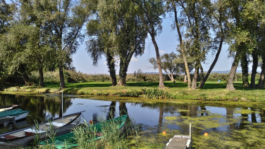 A vadregényes balatonberényi Csicsergő-sziget