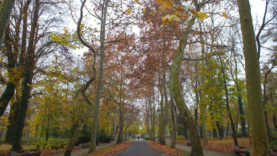 17 hektárnyi liget a város szívében, a keszthelyi Helikon  park