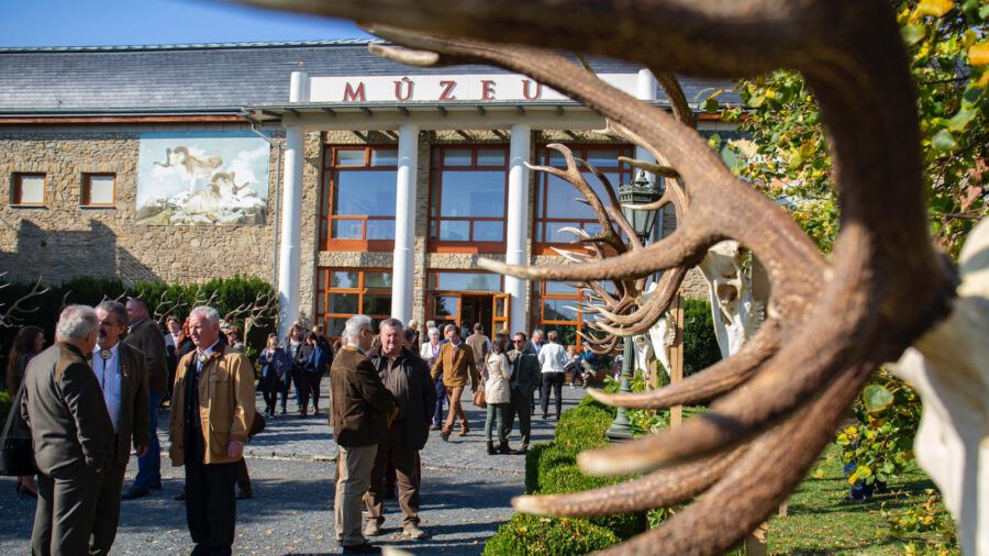Trófeaszemlét és solymászati napot rendeztek Keszthelyen