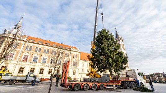 Megérkezett Keszthely 11 méteres karácsonyfája a város főterére