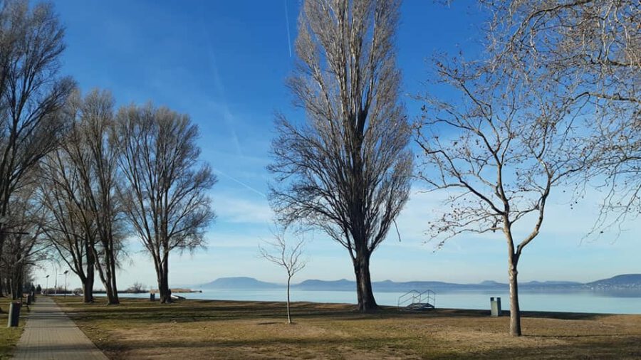 Lellei Gasztro Farsang 2022 Balatonlelle
