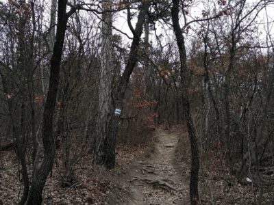 A csopaki Csákány-hegyi kilátó, ahonnan felülnézetből látható a Tihanyi-félsziget
