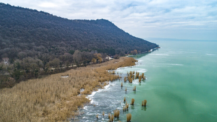 Háromszorosára nőtt a nádirtási aktivitás a Balatonnál, sok az illegális stég