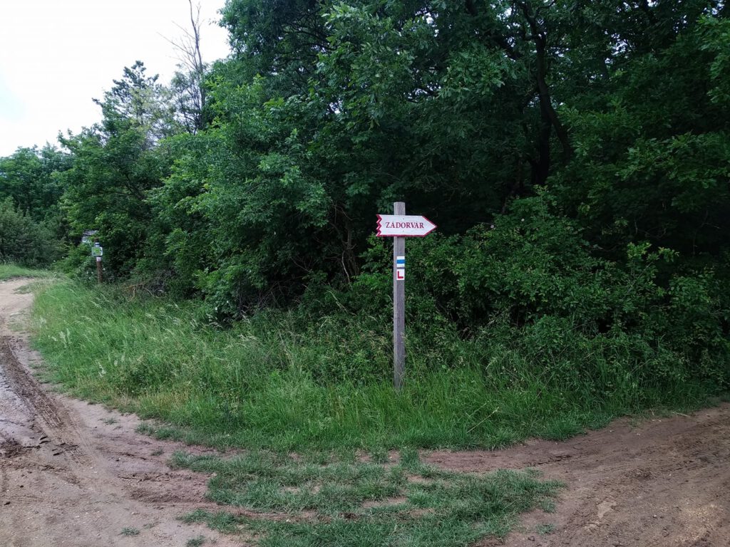 Zádor-vár romjai, melyhez feltétlenül látogass el, ha a Balaton-felvidéken jársz