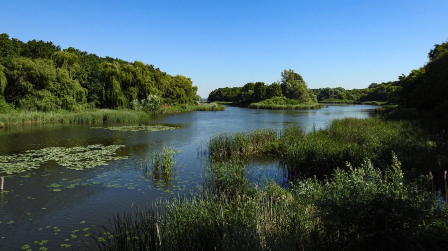 Kányavári-sziget, édenkert a Kis-Balaton ölelésében