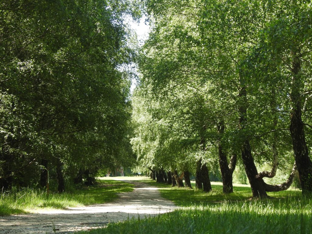 Kányavári-sziget, édenkert a Kis-Balaton ölelésében