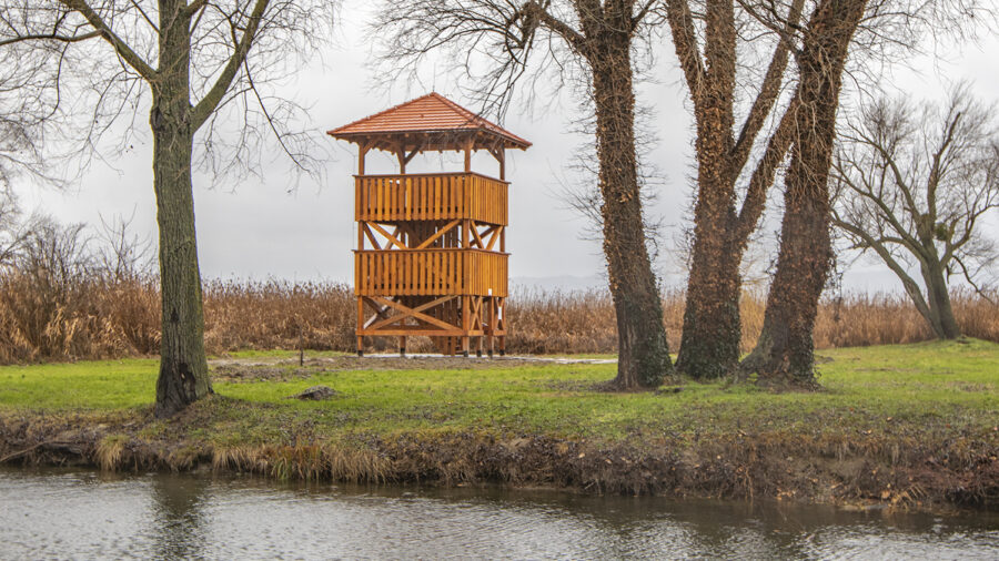 Madárles kilátó, Balatonberény
