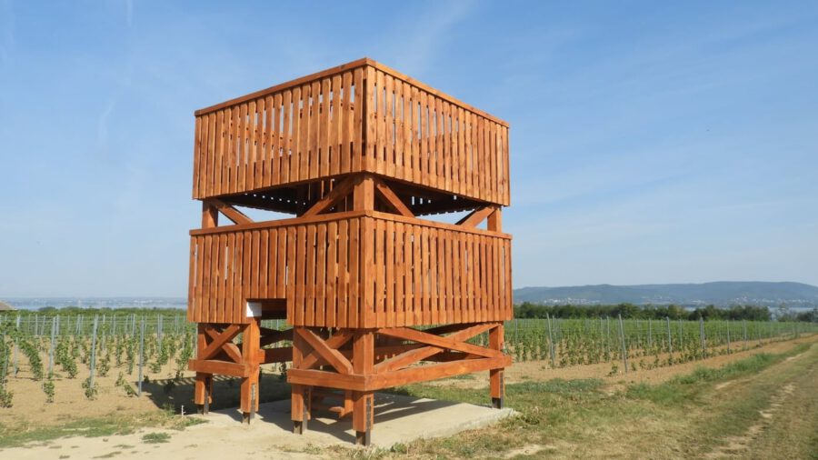 Hamvas Béla kilátó Balatonberény