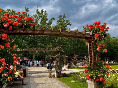 Balatonfüred Rózsakertje: a természet színpompás ékköve