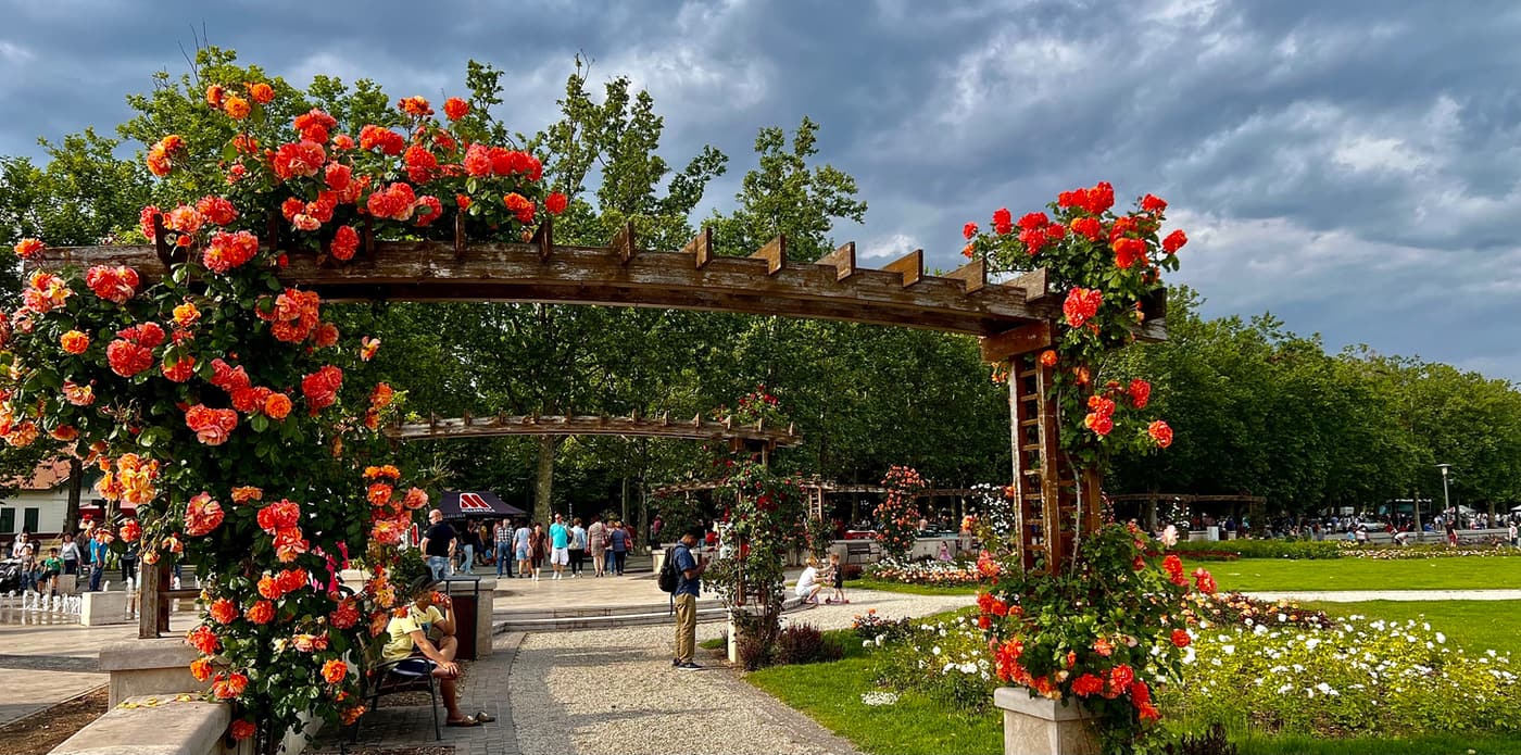 Balatonfüred Rózsakertje: a természet színpompás ékköve
