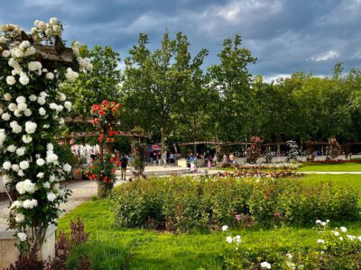 Balatonfüred Rózsakertje: a természet színpompás ékköve