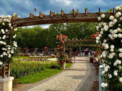 Balatonfüred Rózsakertje: a természet színpompás ékköve