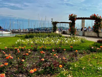 Balatonfüred Rózsakertje: a természet színpompás ékköve