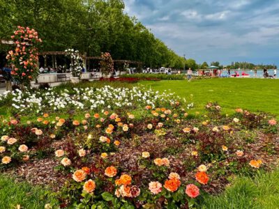 Balatonfüred Rózsakertje: a természet színpompás ékköve