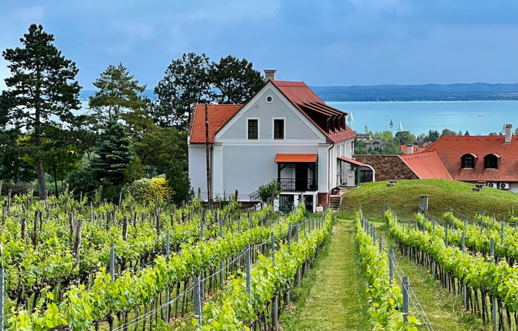 Csopak: a Balaton történelmi és természeti gyöngyszeme