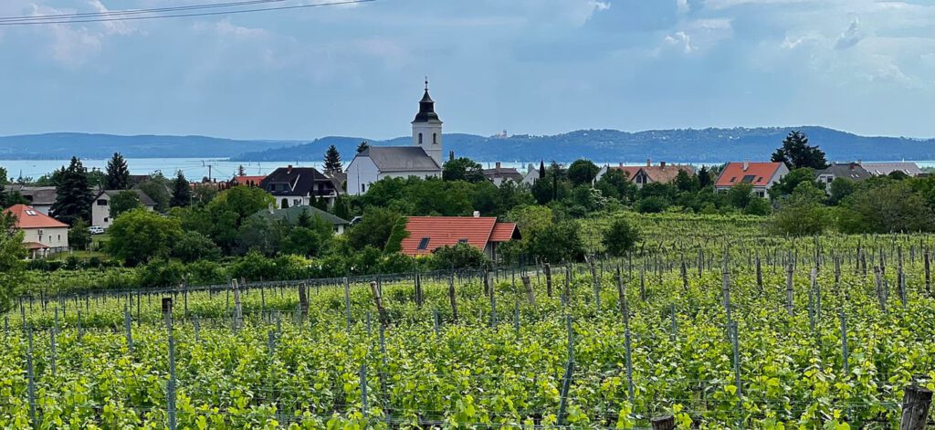 Csopak: a Balaton történelmi és természeti gyöngyszeme