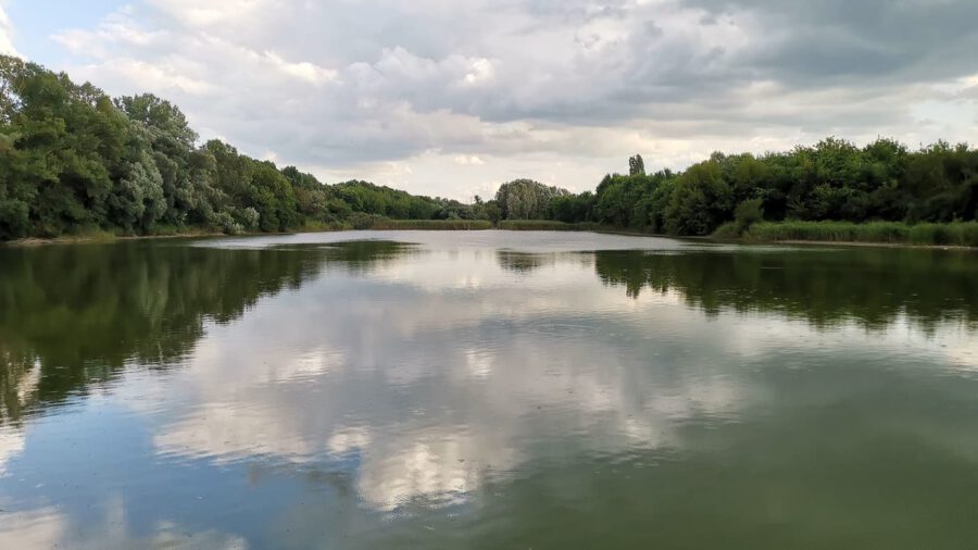 A Töreki-tavak varázsa: egy rejtett kincs Siófok szomszédságában