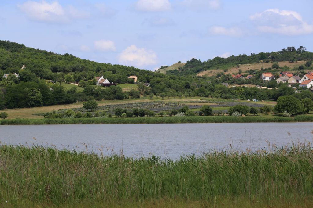 A tihanyi Belső-tó: természet és nyugalom a Balaton partján
