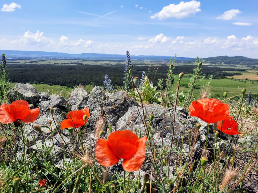 Hegyesdi vár: egy kis vár gazdag történelemmel, pazar panorámával