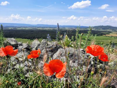 Hegyesdi vár: egy kis vár gazdag történelemmel, pazar panorámával